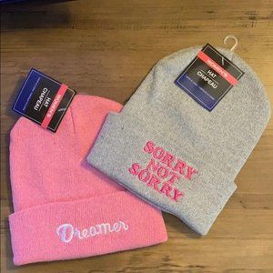 NWT! Pink & Gray Winter Novelty Hat Bundle / Set of 2